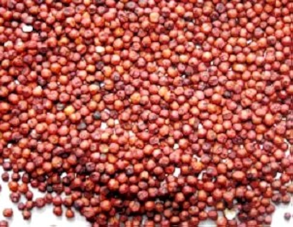 Sausage Ravanello Seeds – elongated red radishes with a mild spicy flavor, perfect for growing in gardens or containers for fresh salads and garnishes.